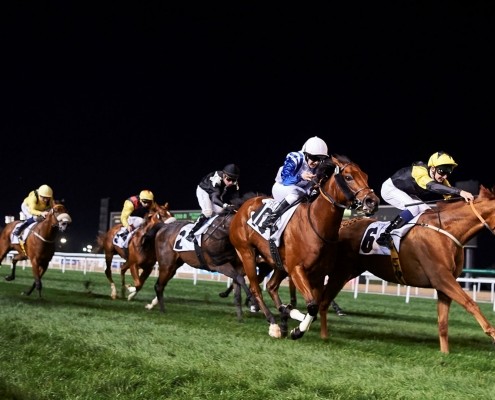 Dubai World Cup Polo 2017