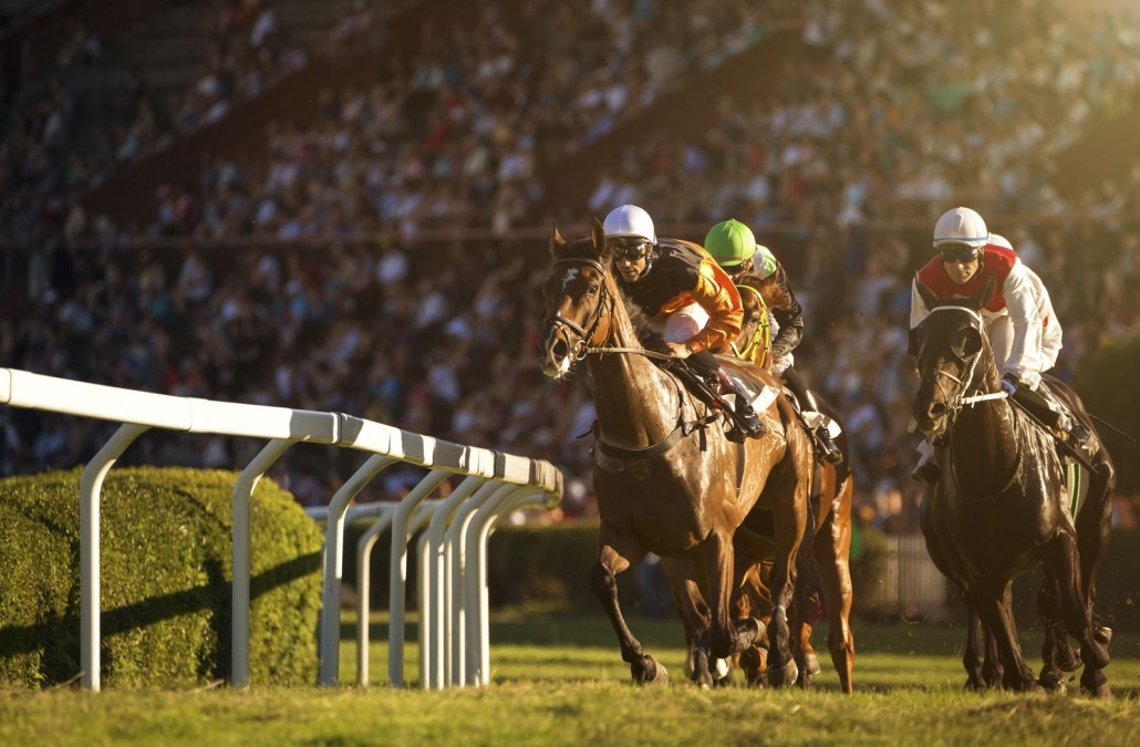 Dubai World Cup