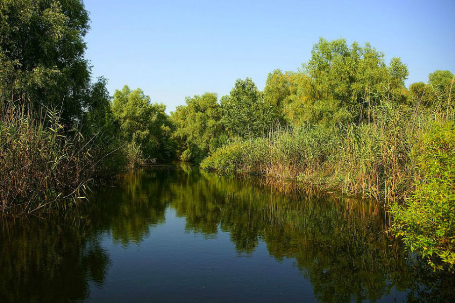 Danube Delta, Romania