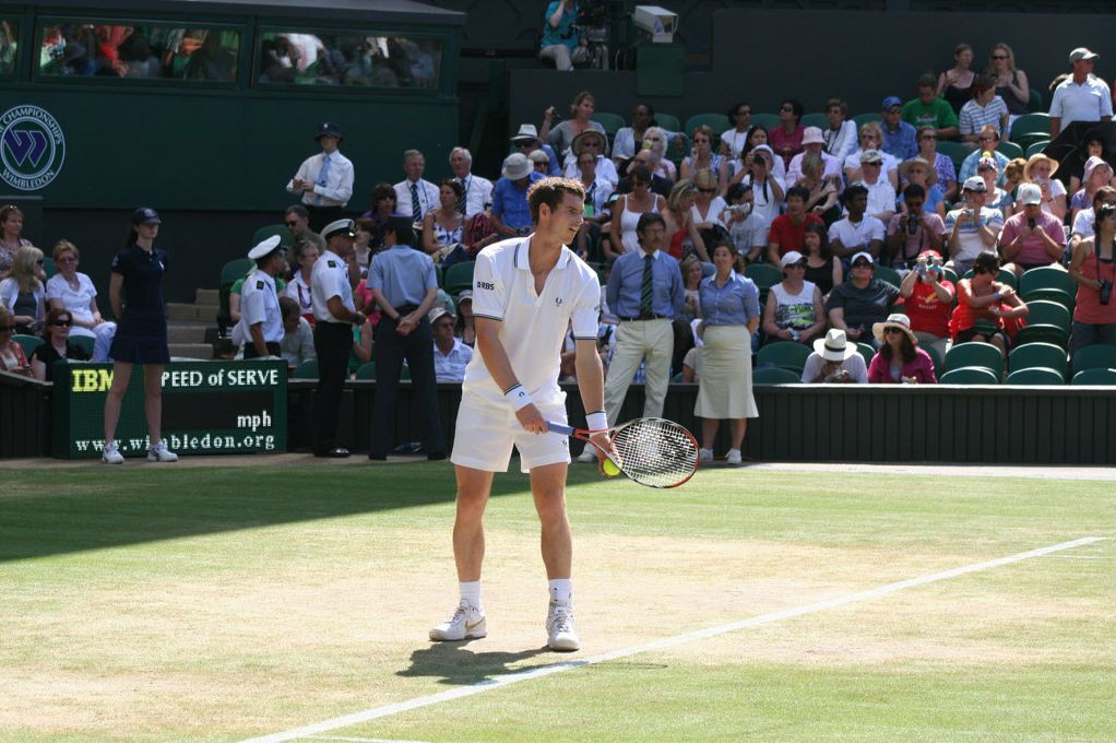 Andy Murray at Wimbledon